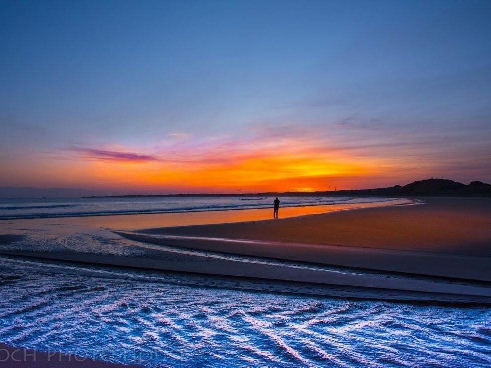 Pew With A View - Seafront Cottages Sandhaven Ngoại thất bức ảnh